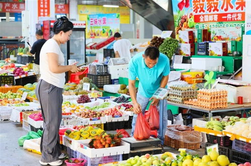 货足价稳 海南多个市县蔬菜供应稳定